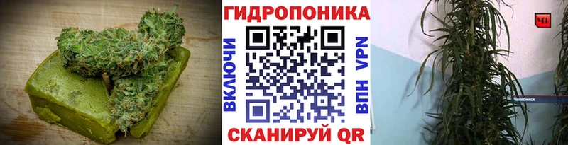 MEGA вход  закладка  Славск  Еда ТГК конопля 