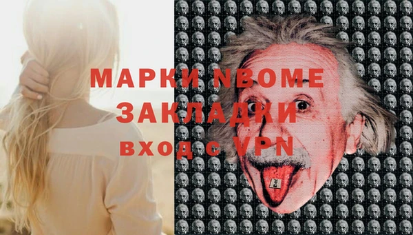 стафф Алзамай
