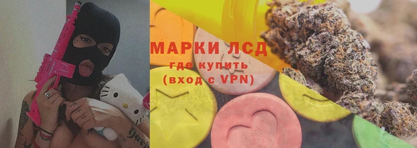 стафф Алзамай