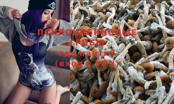 стафф Алзамай