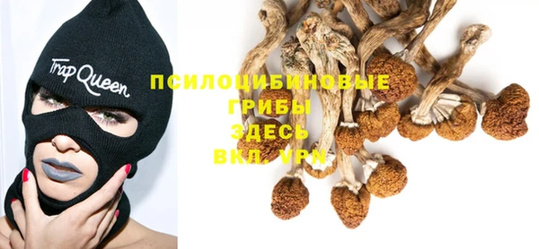 стафф Алзамай