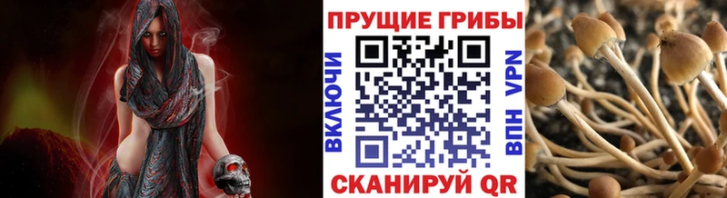 Галлюциногенные грибы мухоморы  наркотики  Славск 